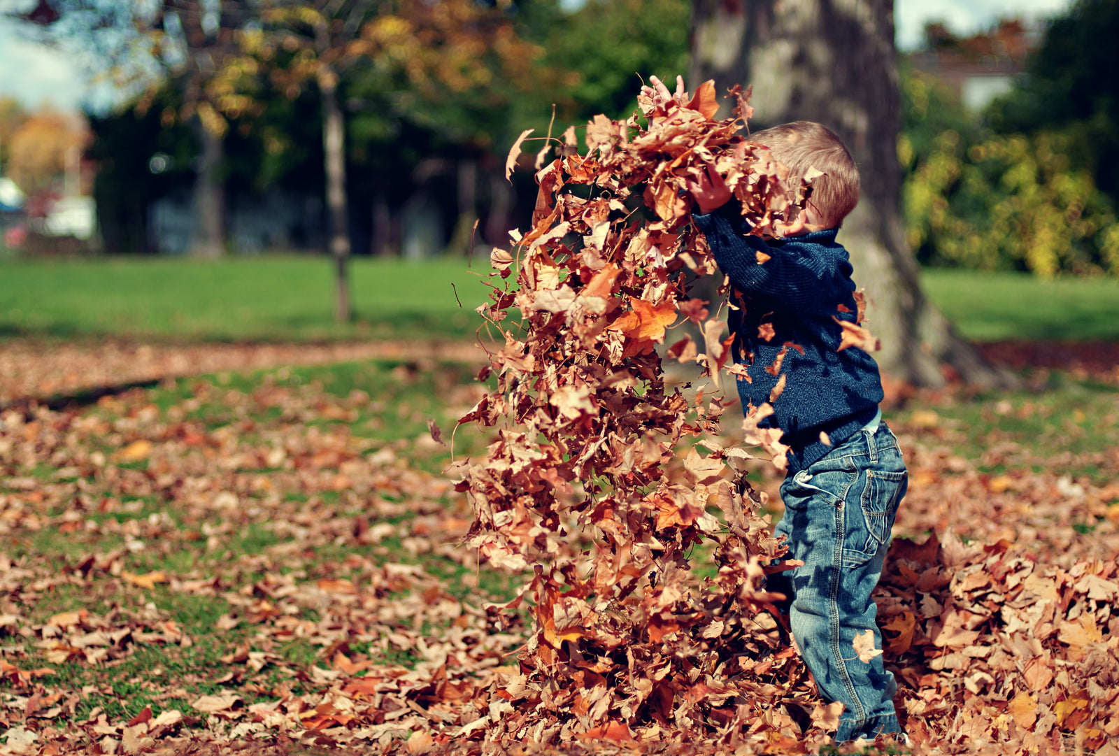 5 Ways to Prep Your Home for Fall Weather
