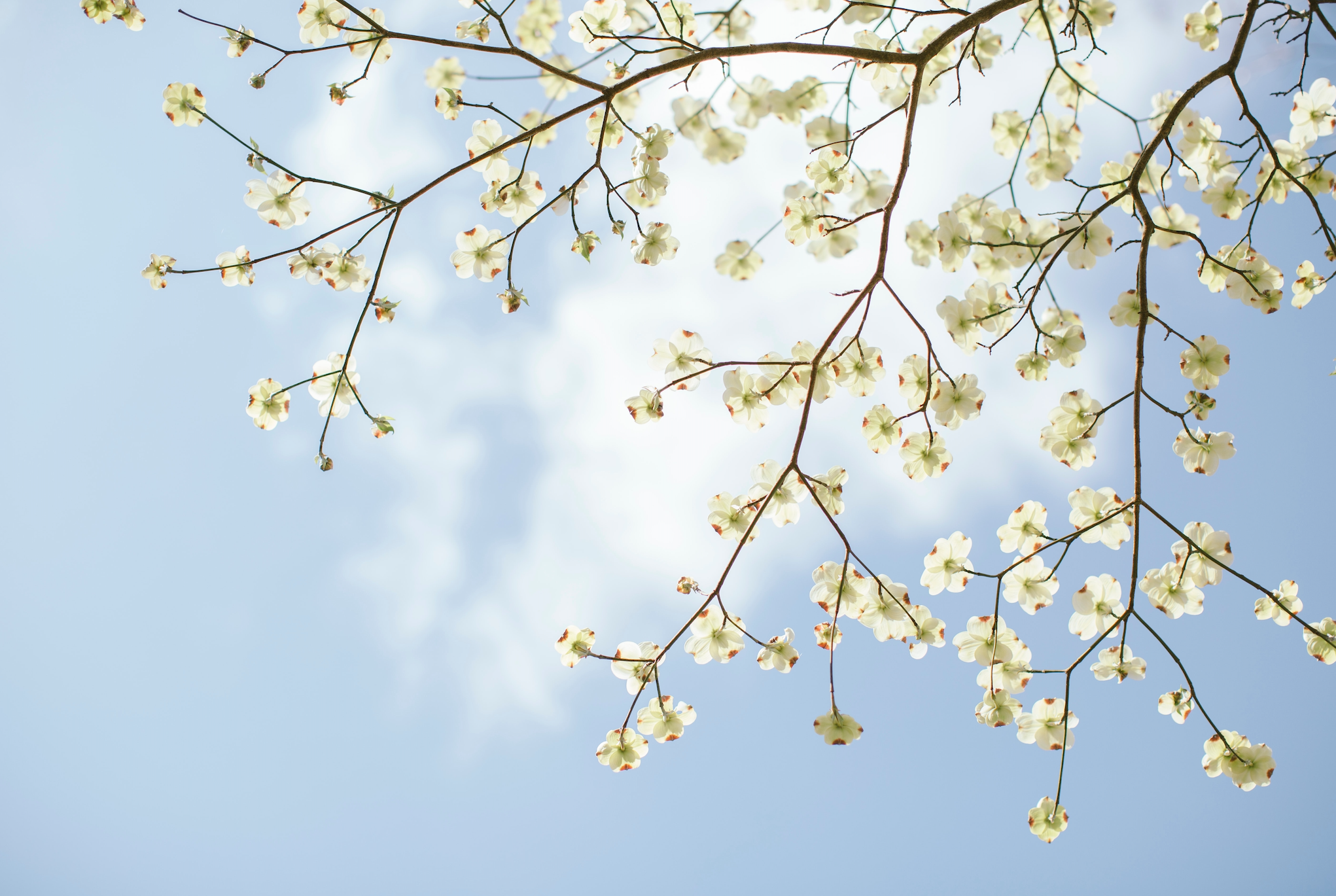 Spring Home Maintenance Checklist