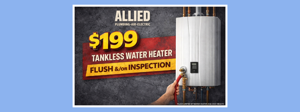 $199 tankless water heater flush and inspection